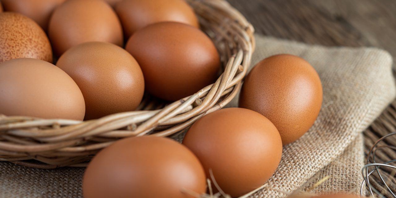 Comment savoir si un œuf est frais ?