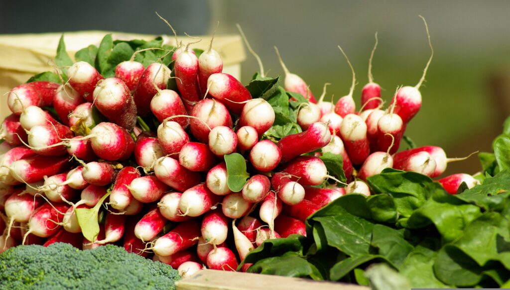 L'ingrédient principal de votre Tartinade de radis au fromage frais