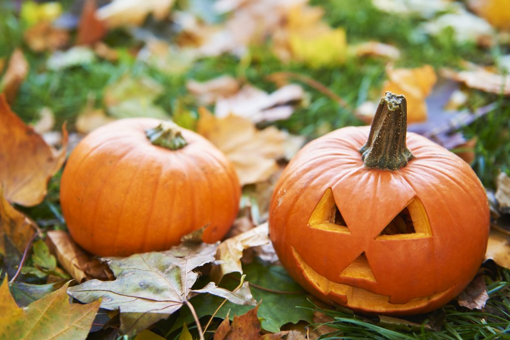 L’attribut alt de cette image est vide, son nom de fichier est halloween-pumpkins-autumn-forest-1024x683.jpg.