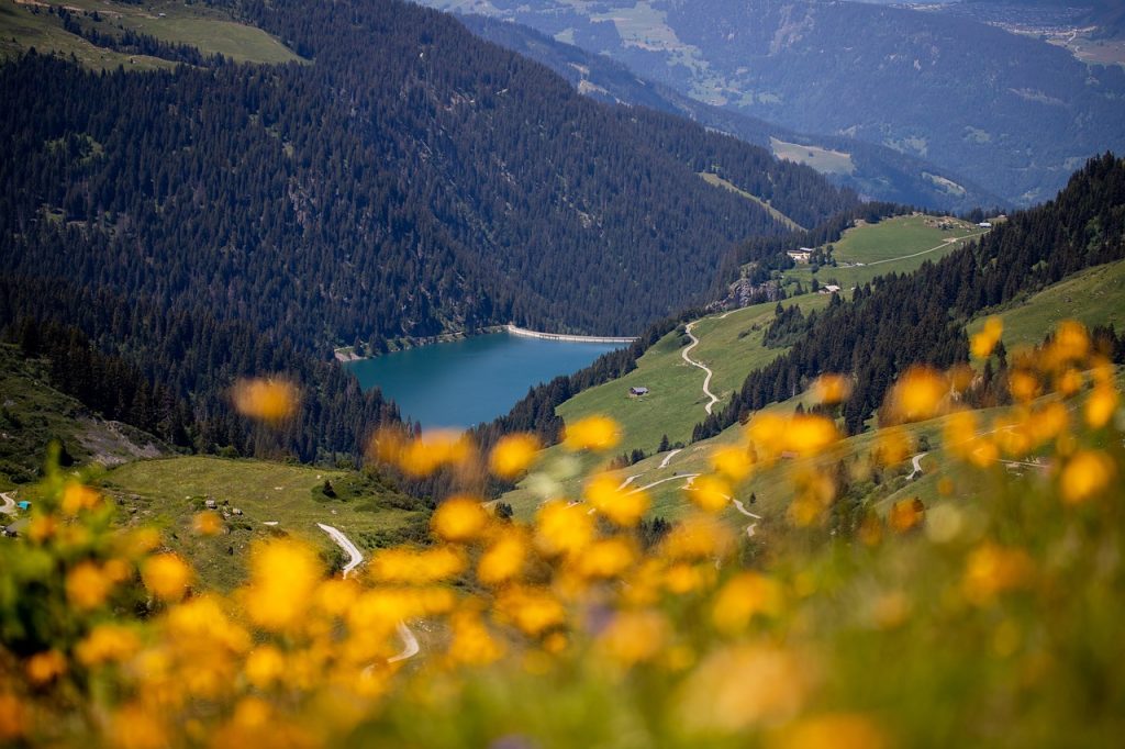 Lac en Savoie - Croziflette Savoyarde au reblochon