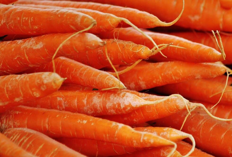 Recette Purée de carottes maison - Inspirations Cuisine
