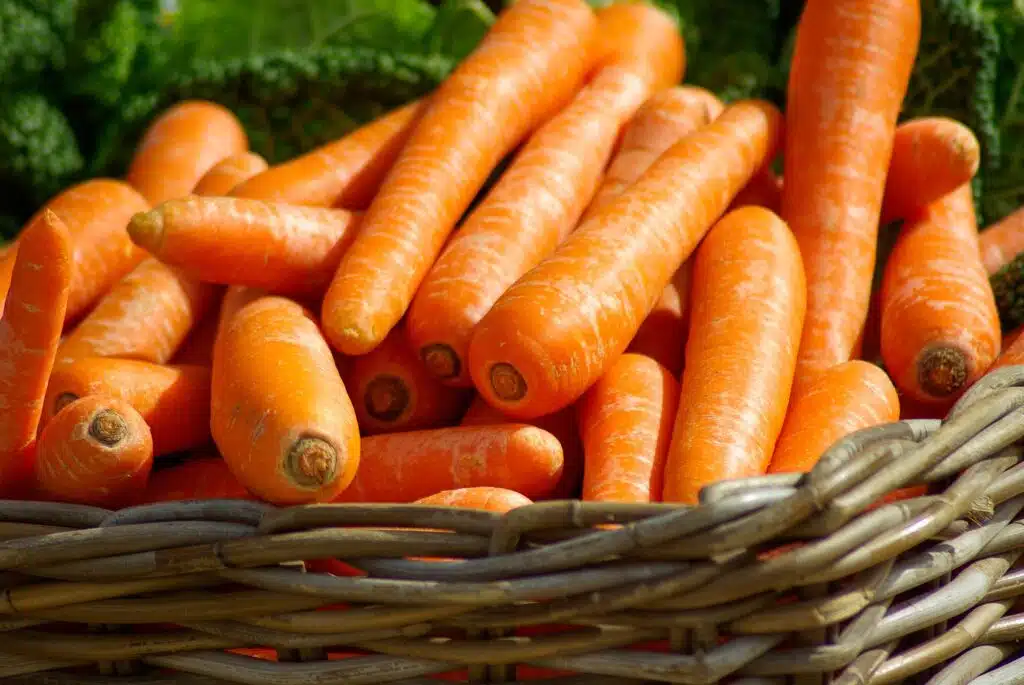 Carottes dans un panier en osier