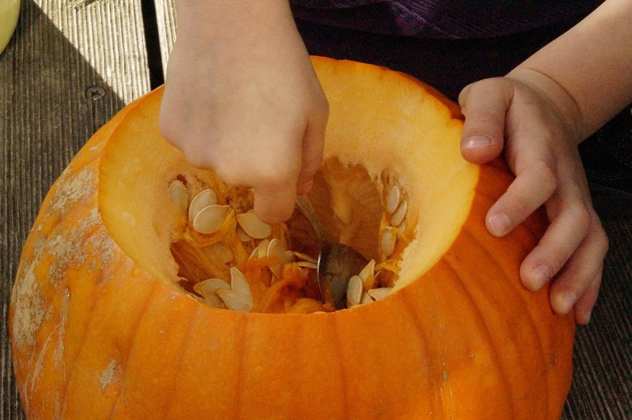 pumpkin 201102 1280