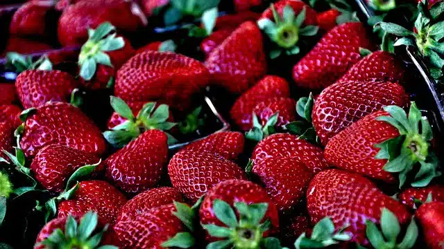 Fraises pour réaliser une Confiture maison