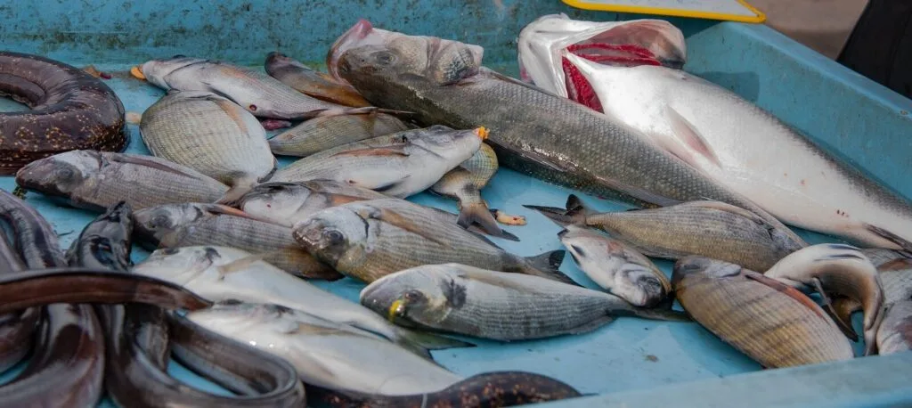 Marseille, berceau de la soupe de poisson
