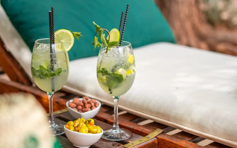 Guide Des Recettes De Boissons Pour L Ete