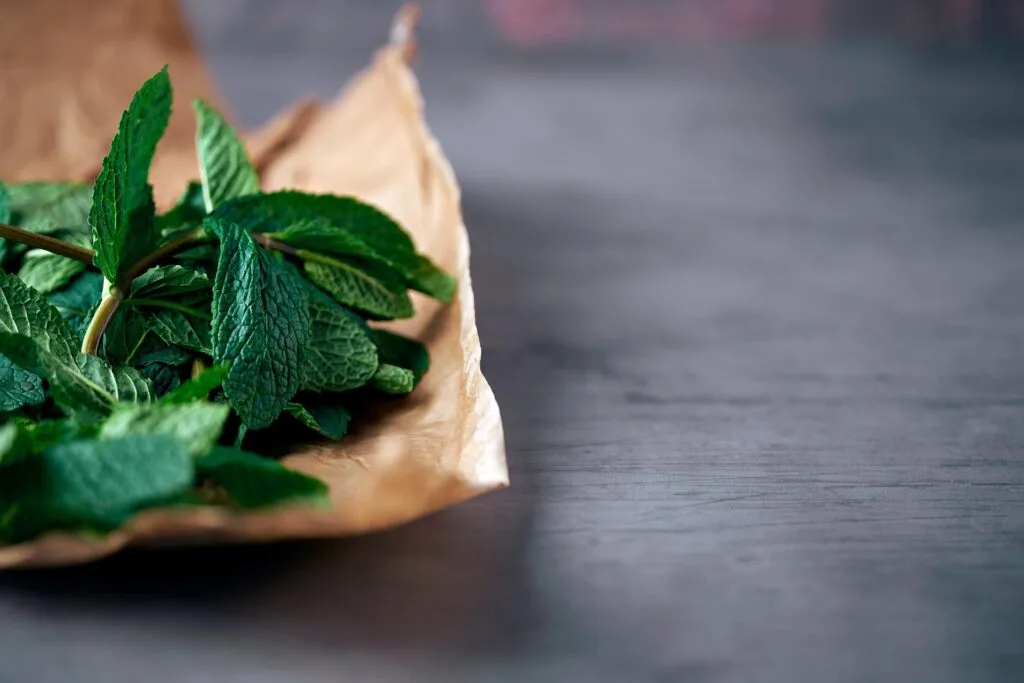 Menthe sur une table